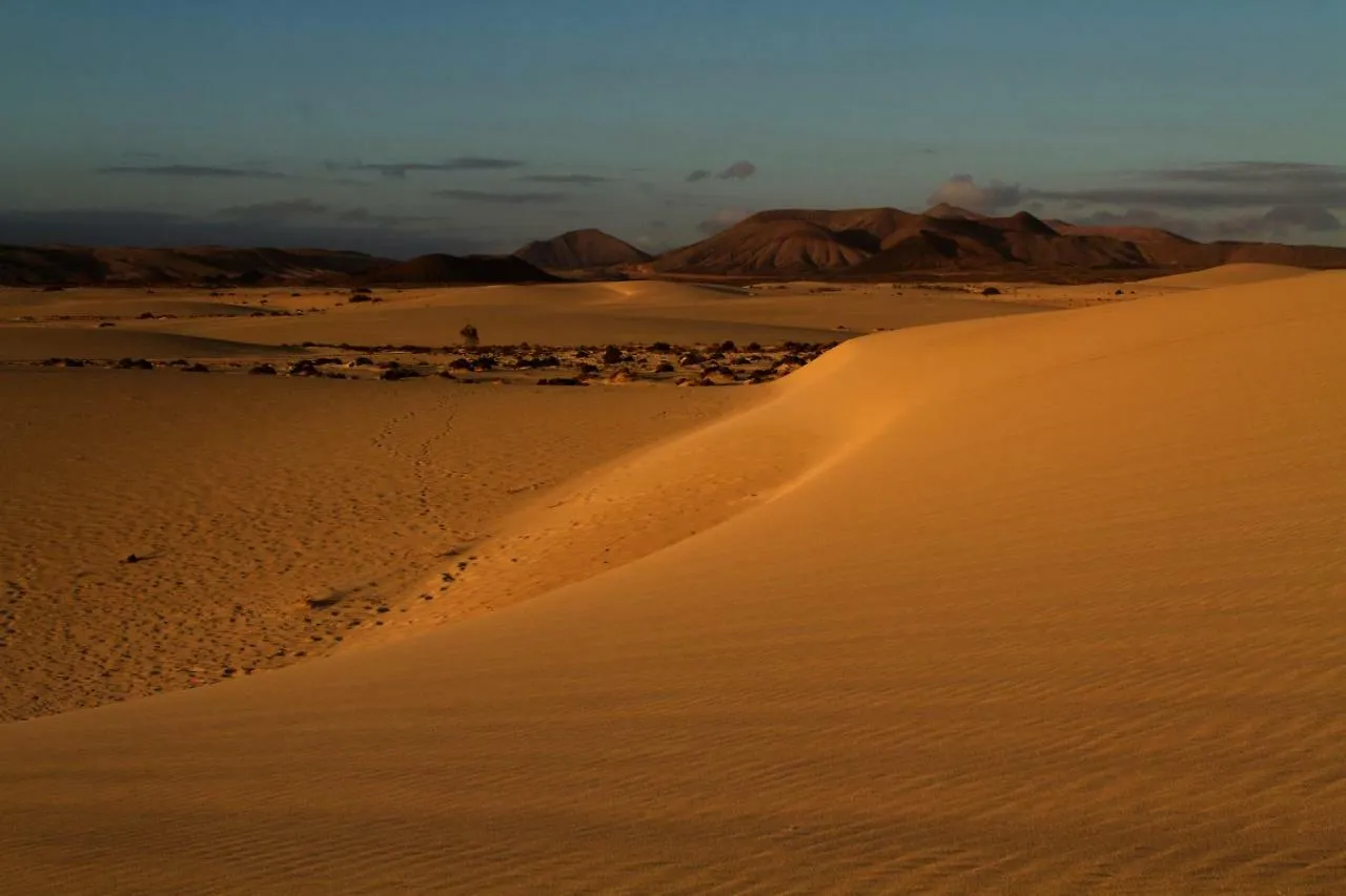 El Cotillo شقة